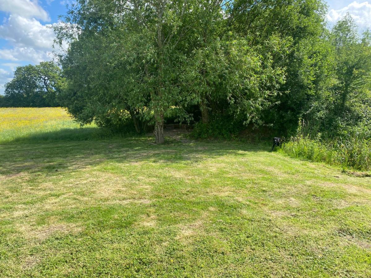 1-Bed Pod Cabin In Beautiful Surroundings Wrexham Exterior photo